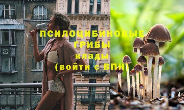прущий лед Аркадак